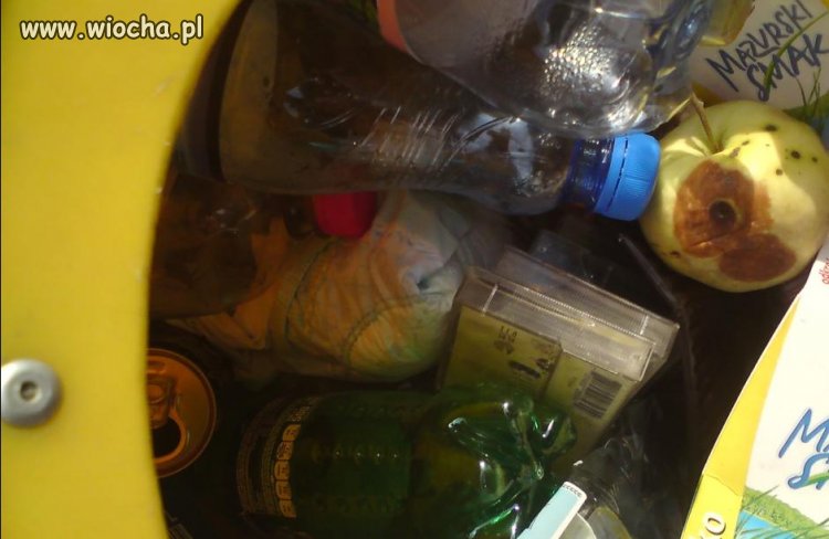 Pojemnik na plastik, czyli jak Polacy segregują