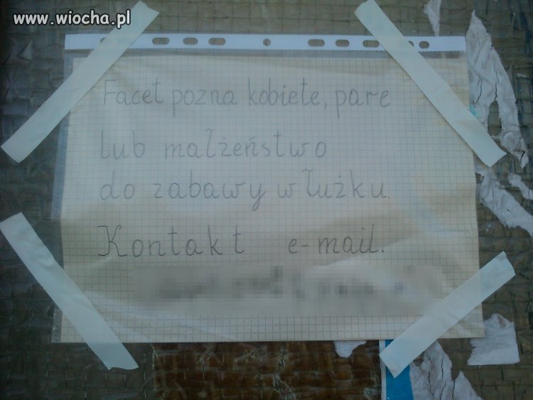 Ortografia podstawą sukcesu
