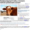 Rosja