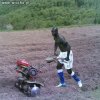 Gdzie znikną Balotelli ?