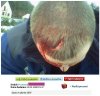 Jest się czym chwalić