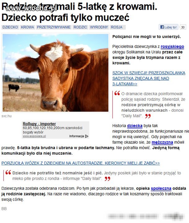 Nie wiem jak to skomentować