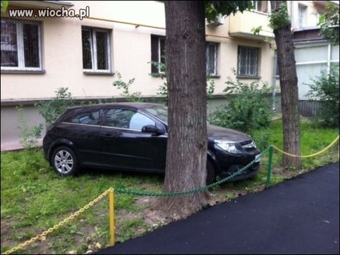 Mistrz parkowania