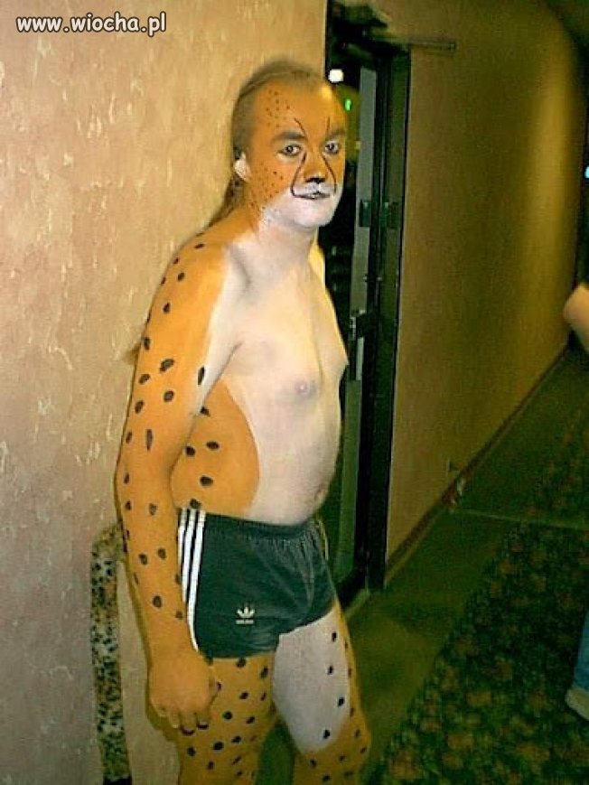 Tygrysek
