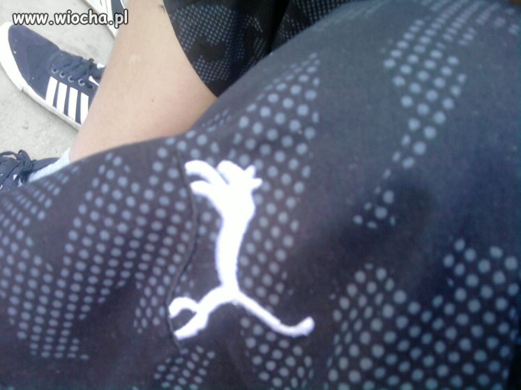 Nowa puma.