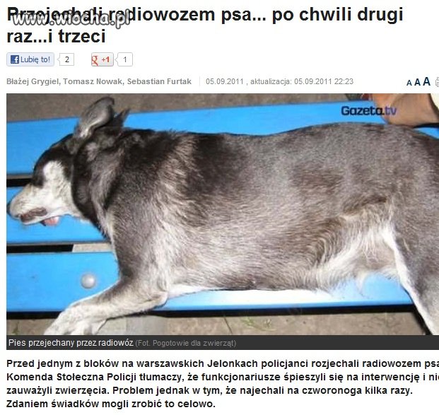 Policja