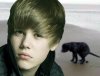 Bieber 