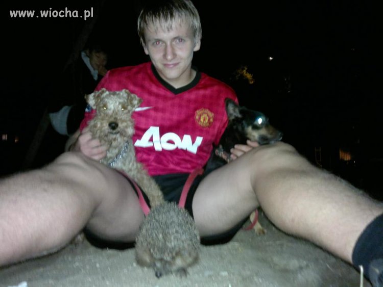 Pęknięty Jeż