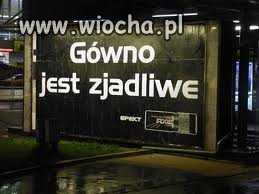Wiocha.pl
