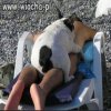 Zapasy czy sex