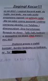 Jedyny taki kocur