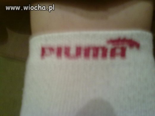 Piuma