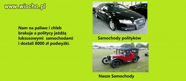 My i politycy