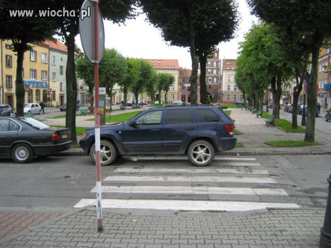 Mistrz parkowania