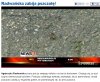 Radwańska Zabiła Pszczołę