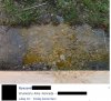 Chłopak nie miał się czym pochwalić...