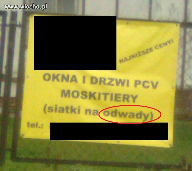 Ortografia to podstawa