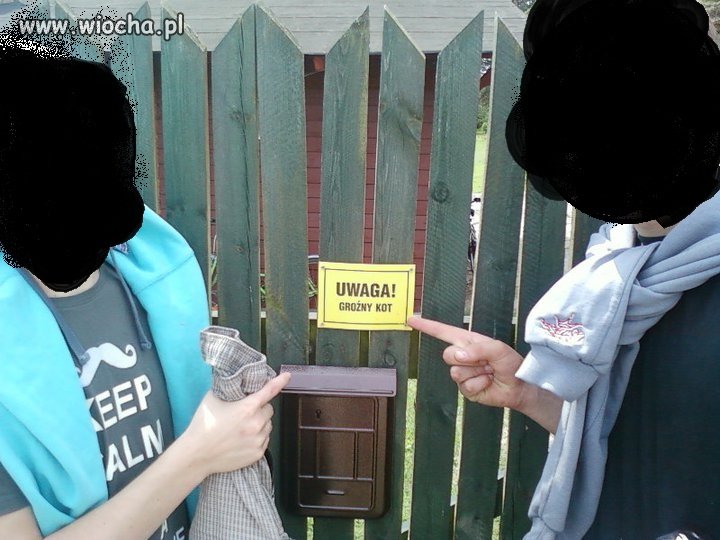 Groźny kot? WTF?