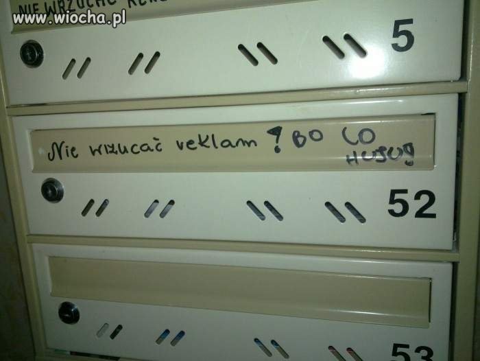 Bo co?