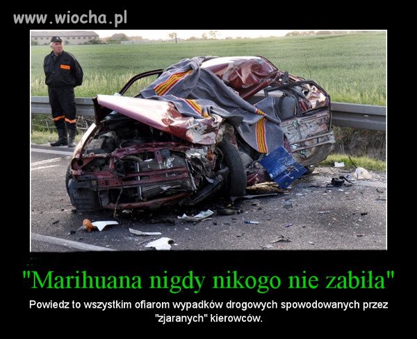 Marihuana nigdy nikogo nie zabiła