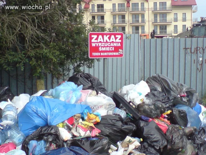Polskie realia