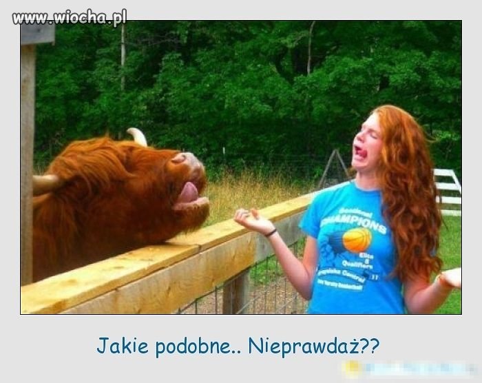 Nieprawdaż...?