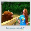 Nieprawdaż...?
