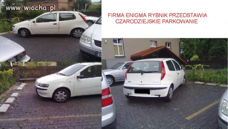 Firma Enigma