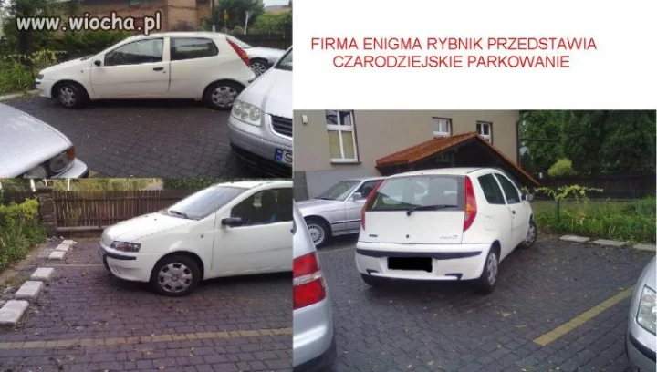 Firma Enigma