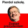 Pier *dol to 