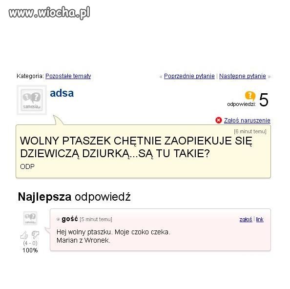 Ptaszek 