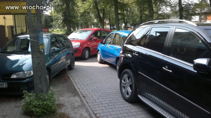Parkowanie lvl master
