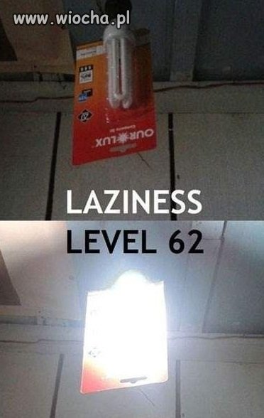 Lenistwo bliskie szczytu.