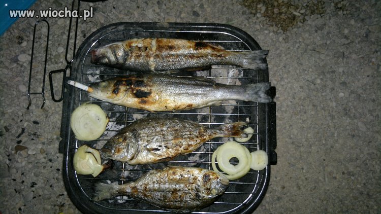 Rybka z filtrem z grilla