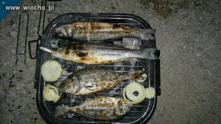 Rybka z filtrem z grilla