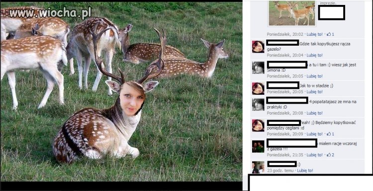 Mistrz photoshopa 