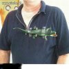 Prawdziwa Lacosta