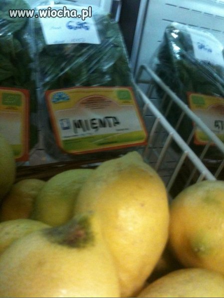 "Mienta" ???