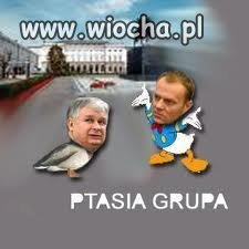 Kto uważa że sejm to gówno