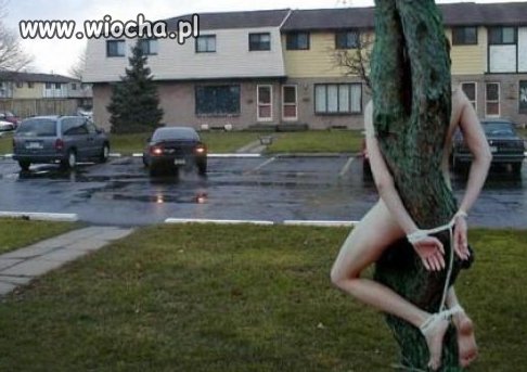 Poczuł więź