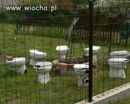 Robimy ognicho ??