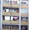 Olbrzymka