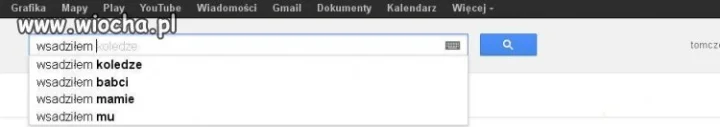 Wiocha google