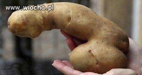 Matka natura robi nam wiochę 