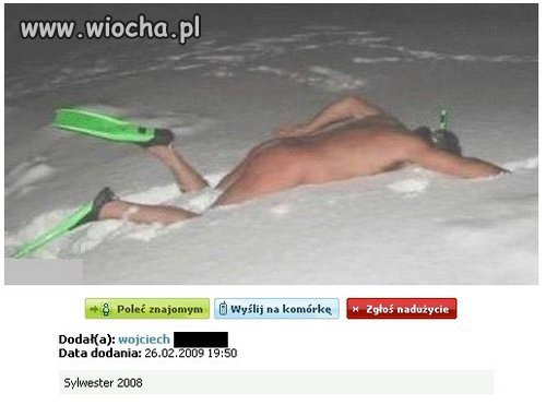 Nasze morze wyrzuciło morsa