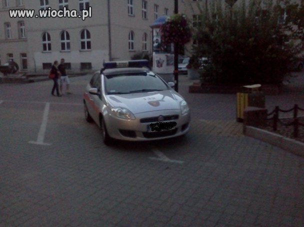 Ważniaki ze Straży Miejskiej...