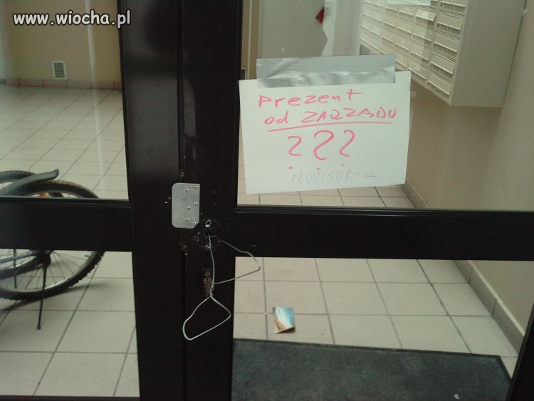 Profesjonalny zamiennik