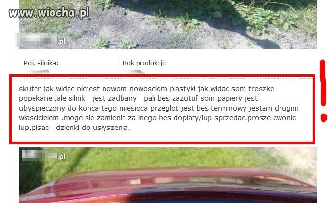Słownik nie gryzie