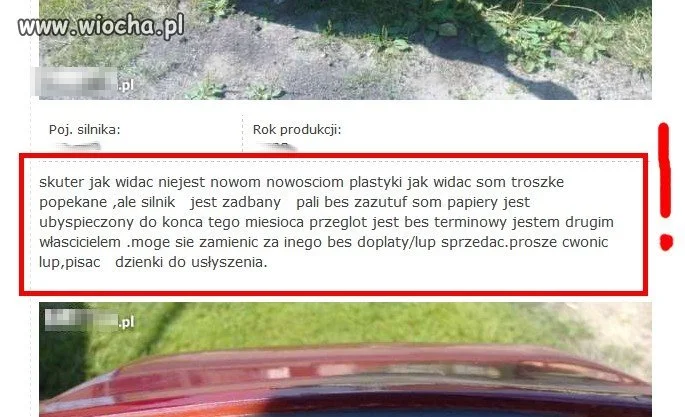 Słownik nie gryzie