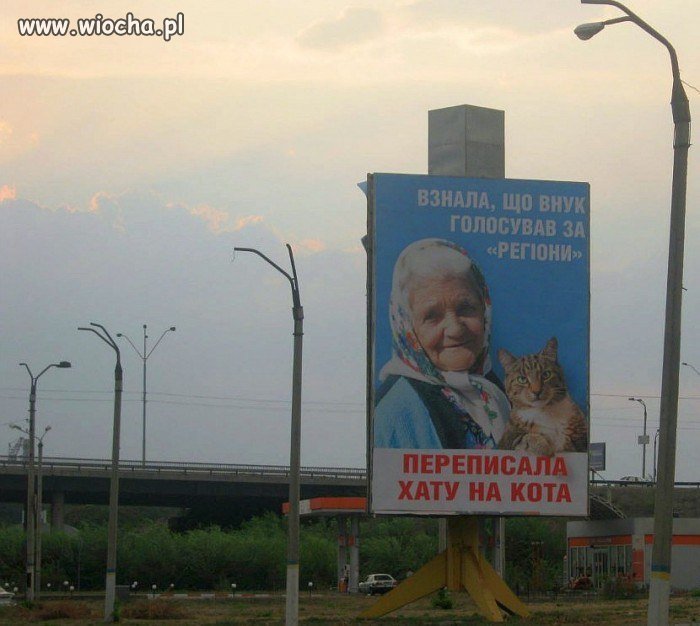 Poznała, że wnuk głosował za "Partię Regiony"